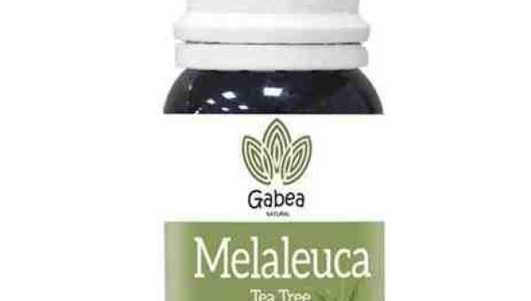 Quais os benefícios do óleo essencial de melaleuca?